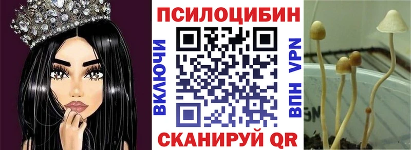 МЕГА ТОР  Алагир  shop какой сайт  наркотики  Псилоцибиновые грибы Psilocybe 